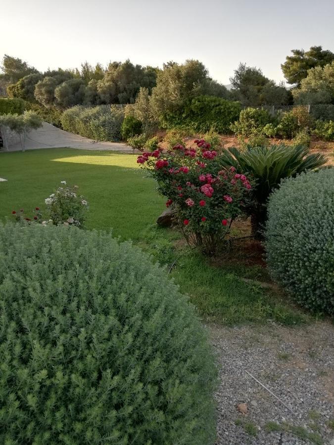 Hotel Dimitra Rafína Esterno foto